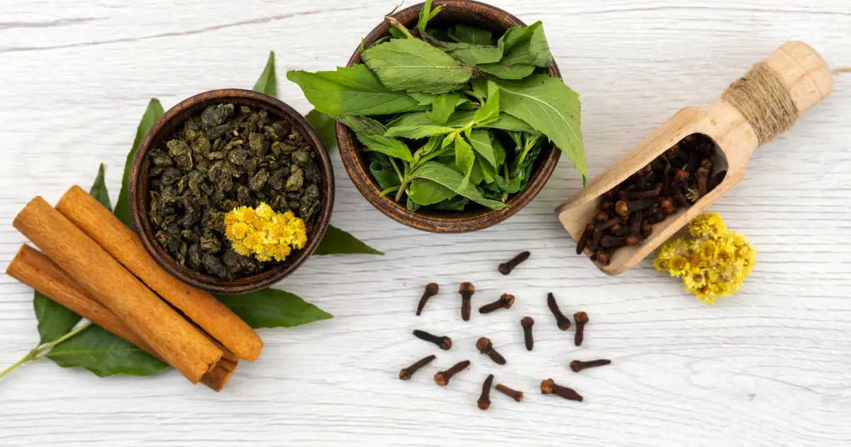 herbs like elderberry, turmeric, echinacea on rustic table