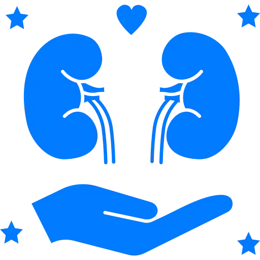 Kidney health checker and renal function assessment tool for nephrology screening