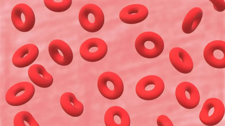 CBC Blood Test Results red blood cells flow illustration showing normal erythrocyte distribution