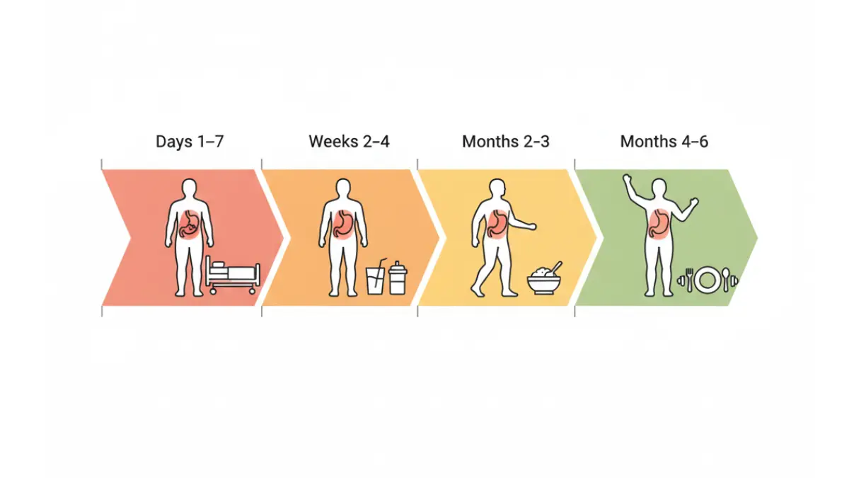 Gastric Sleeve recovery timeline showing healing phases from day 1 to month 6