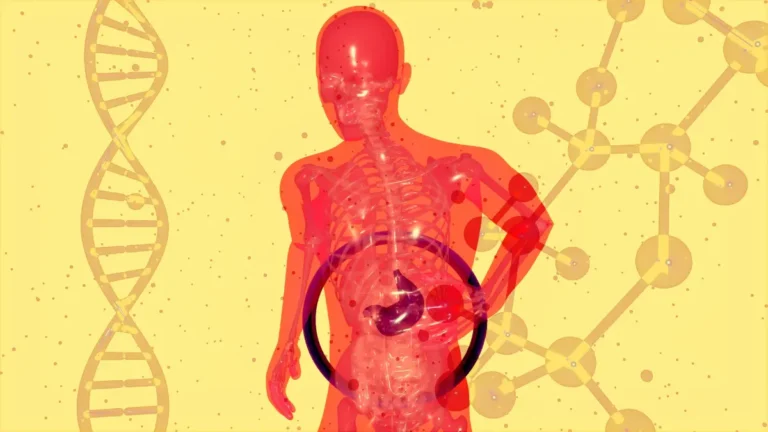 Medical illustration showing human digestive system with gut bacteria DNA molecules and metabolic pathways controlling weight mood and immune function