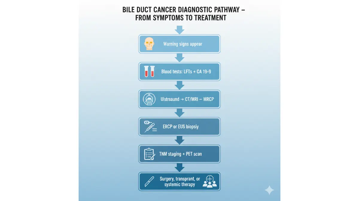 Bile Duct Cancer diagnostic pathway flowchart showing steps from symptoms blood tests imaging biopsy staging and treatment
