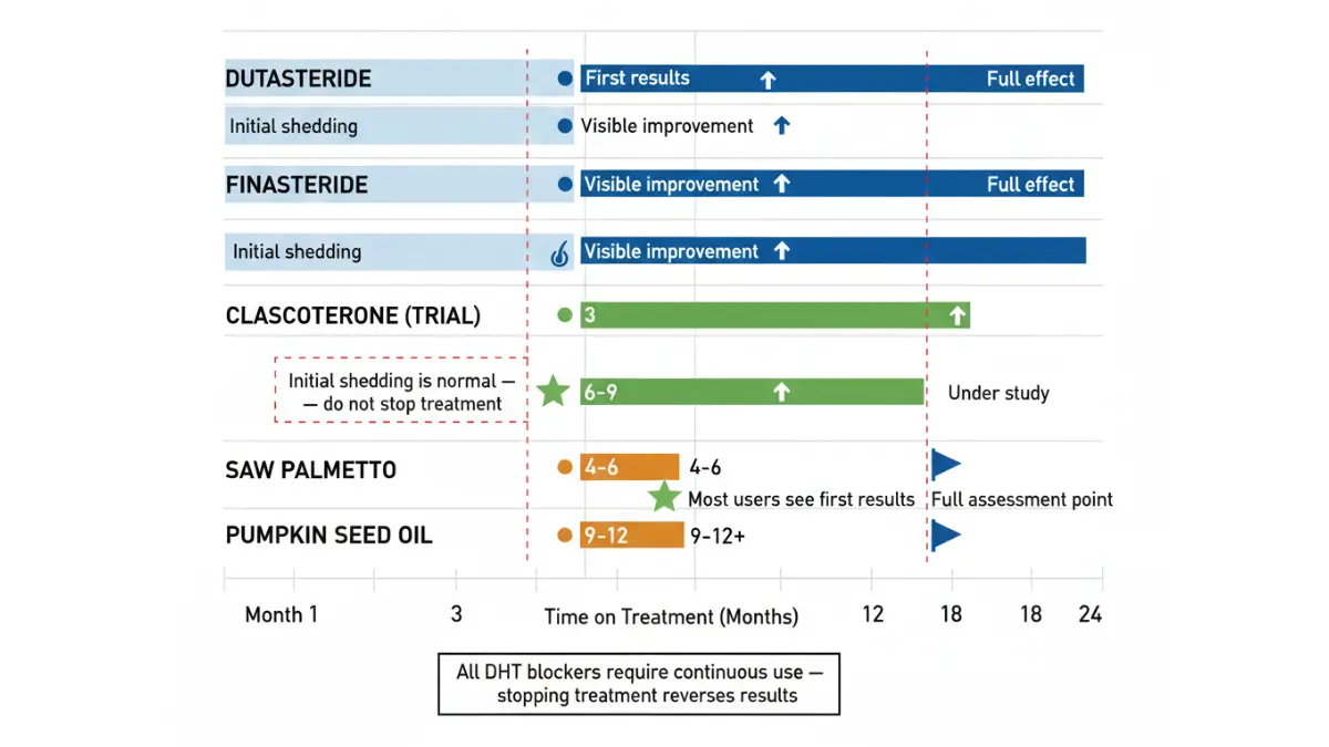 DHT Blocker timeline chart showing how long finasteride dutasteride and natural blockers take to work