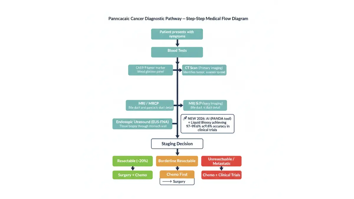 Pancreatic Cancer mRNA vaccine mechanism diagram showing tumor biopsy, mRNA synthesis, immune activation, T-cell targeting, and cancer cell destruction