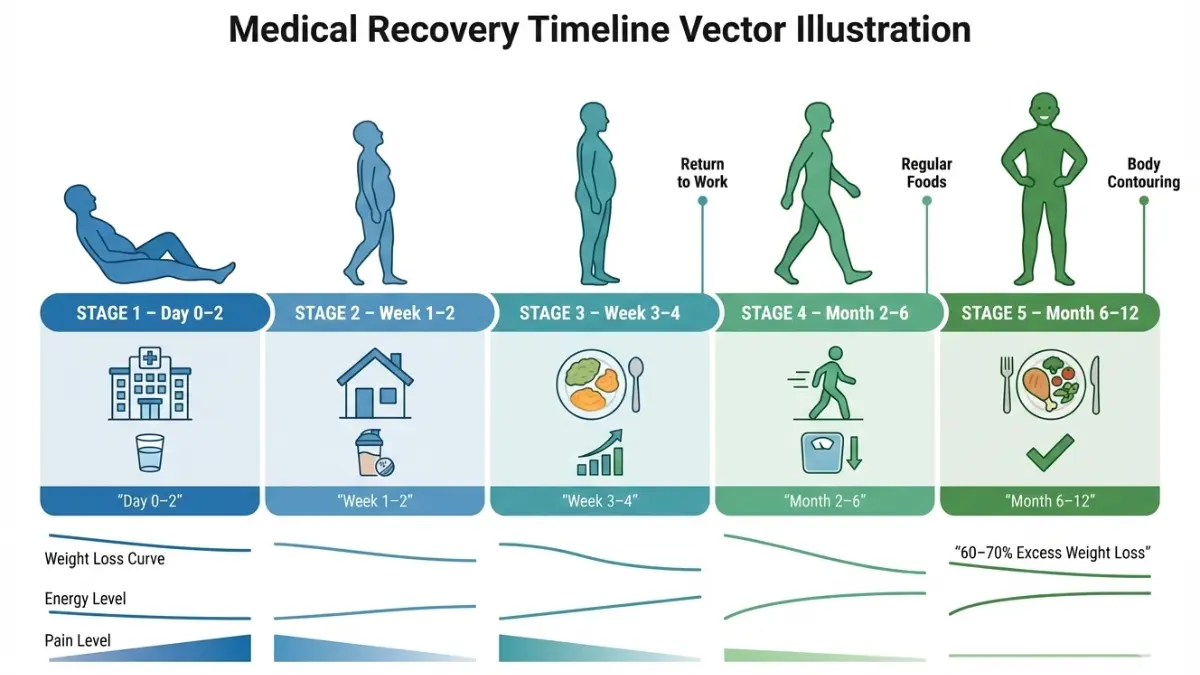 VSG Surgery recovery timeline diagram showing healing stages from hospital stay through 12 months post operative care