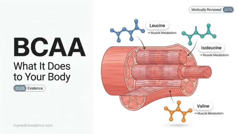 Medical anatomy diagram showing BCAA molecules leucine isoleucine and valine entering skeletal muscle fiber to support muscle metabolism