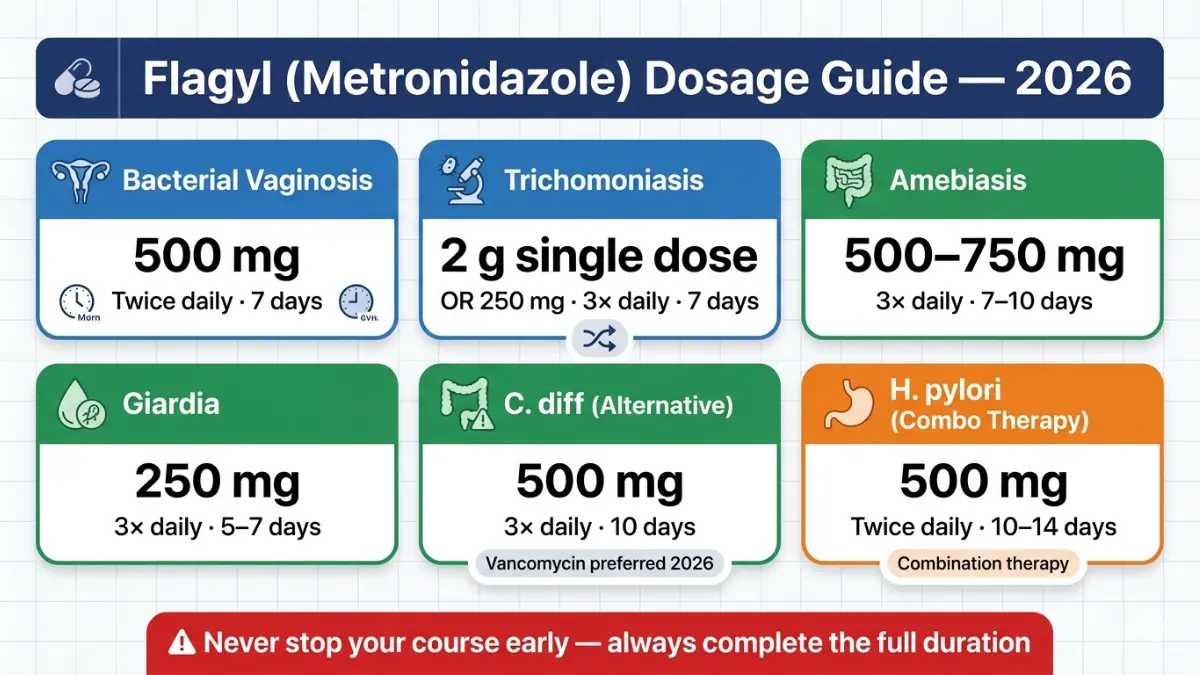 Flagyl dosage chart showing Flagyl metronidazole doses for BV trichomoniasis amebiasis giardia C diff and H pylori infections in 2026
