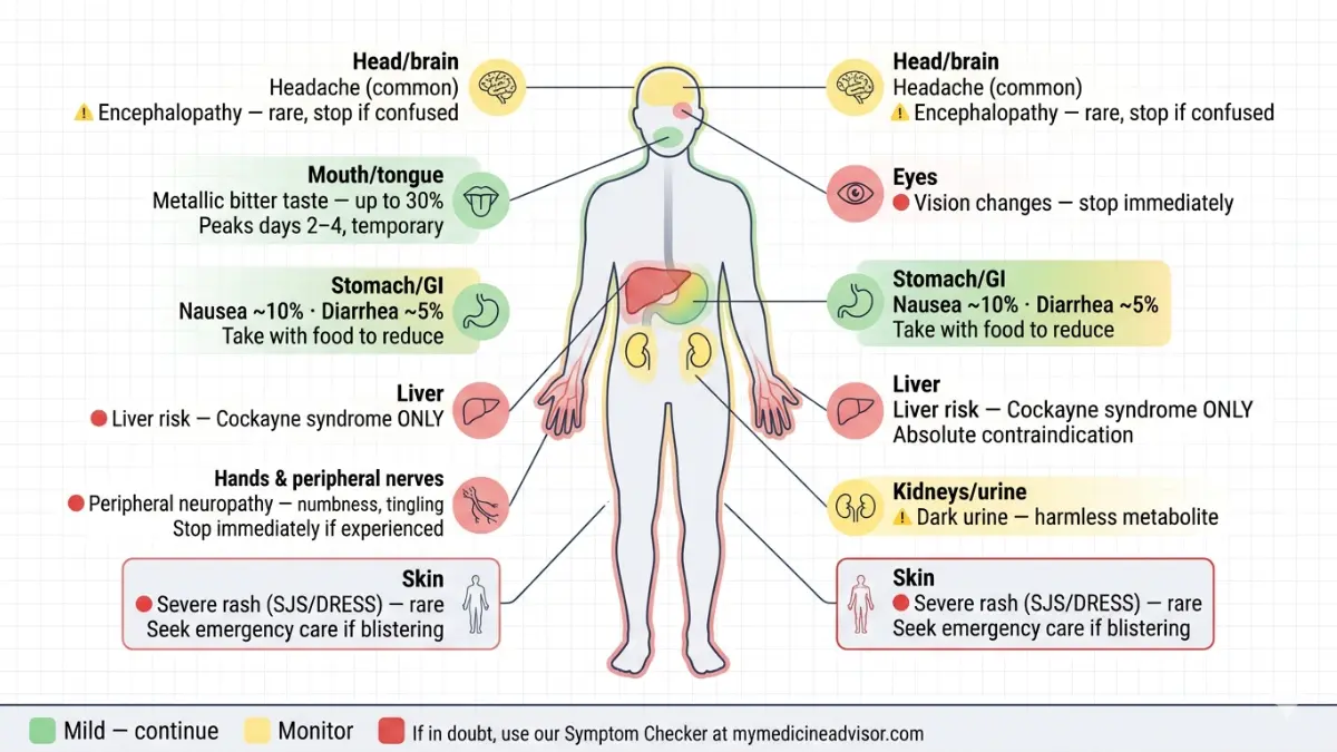 Flagyl side effects anatomy diagram showing how Flagyl affects different body parts including metallic taste nausea neuropathy and serious reactions