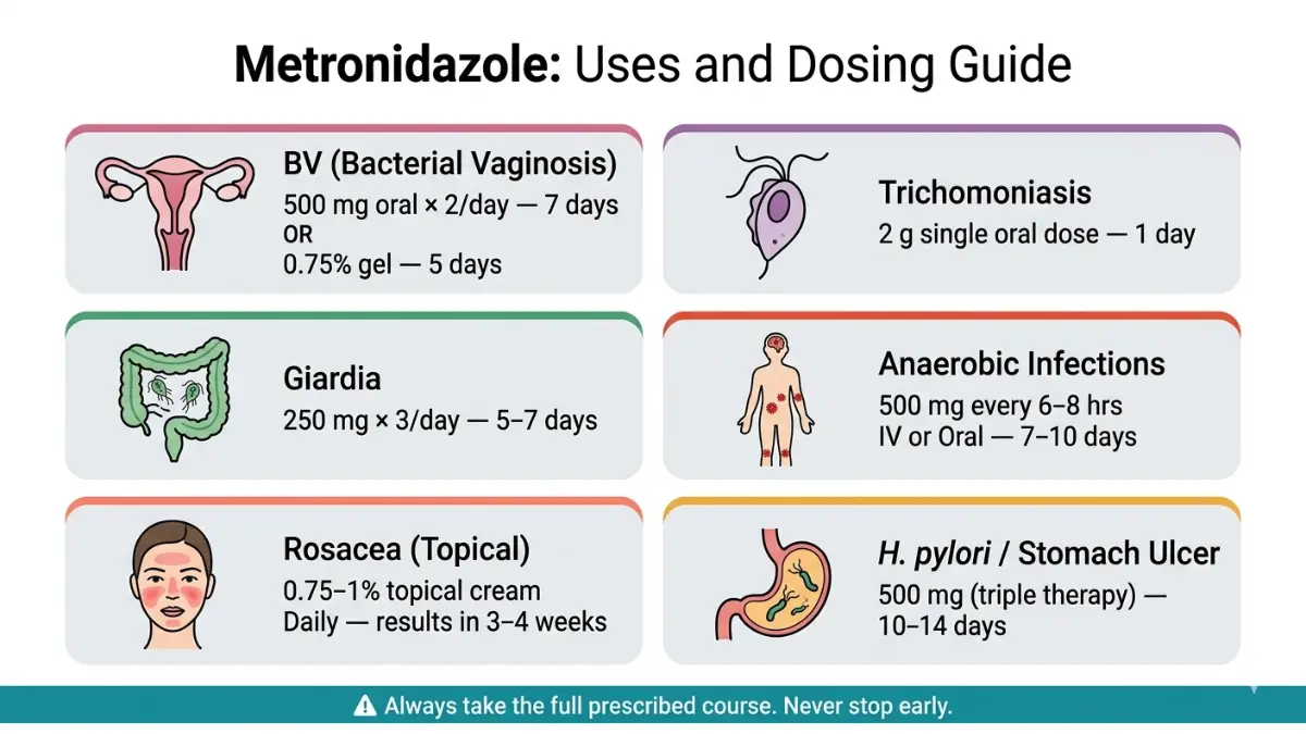 metronidazole dosage chart infographic showing common metronidazole treatments for BV trichomoniasis giardia rosacea and anaerobic infections