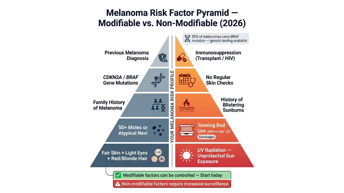 Melanoma risk factor pyramid showing modifiable and non modifiable risk factors
