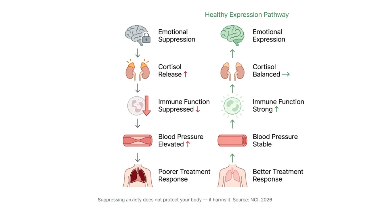 Mesothelioma Anxiety cortisol immune suppression biological cascade diagram