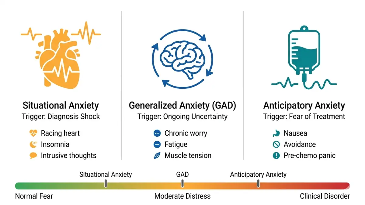 Mesothelioma Anxiety types situational generalized anticipatory comparison diagram