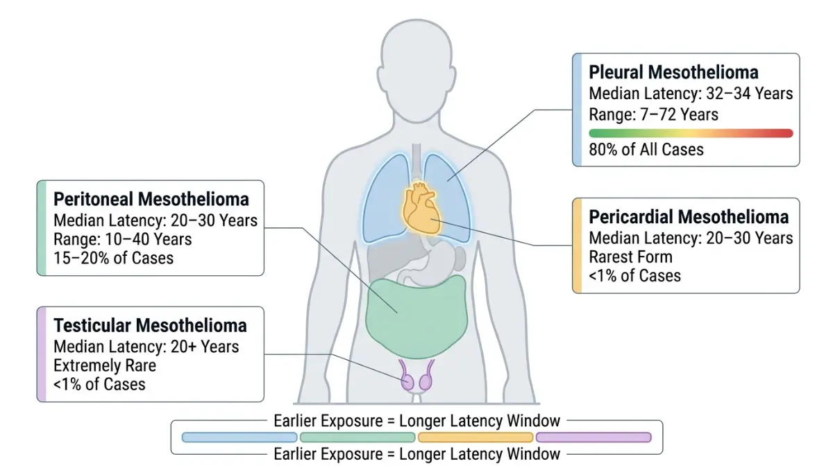 Mesothelioma Latency comparison across pleural, peritoneal, pericardial and testicular regions with latency ranges