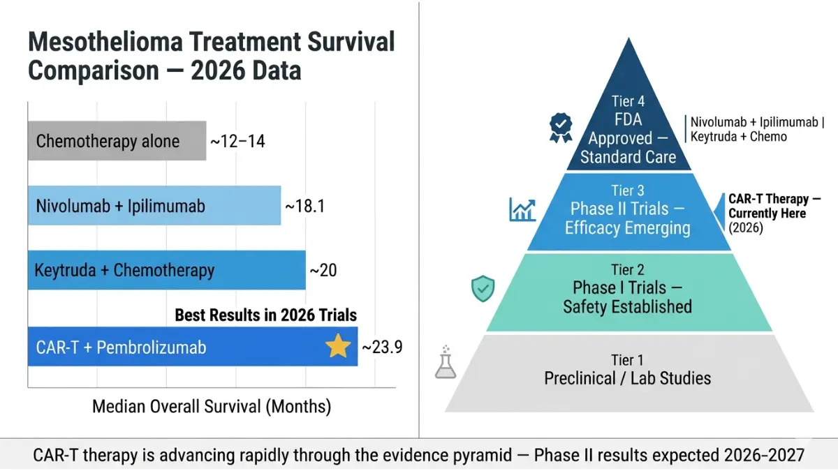 Mesothelioma Research survival comparison chart and evidence pyramid showing CAR-T therapy effectiveness and clinical trial progress