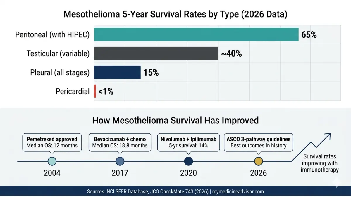 Mesothelioma survival rates by type with timeline showing treatment advances from chemotherapy to immunotherapy improving outcomes Mesothelioma