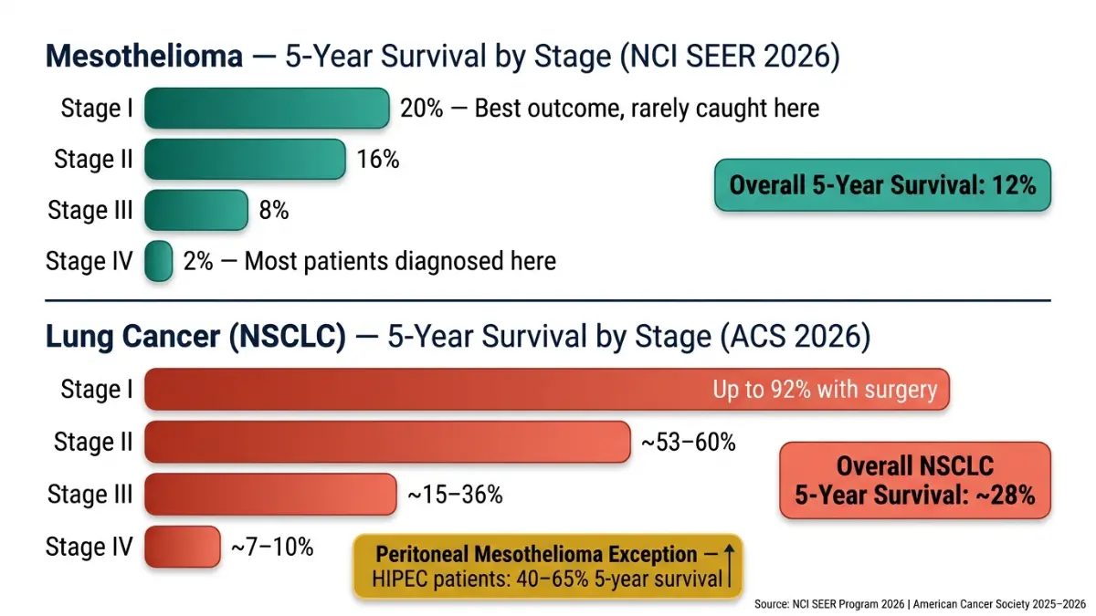 Mesothelioma vs Lung Cancer survival rates by stage chart comparing 5 year survival percentages