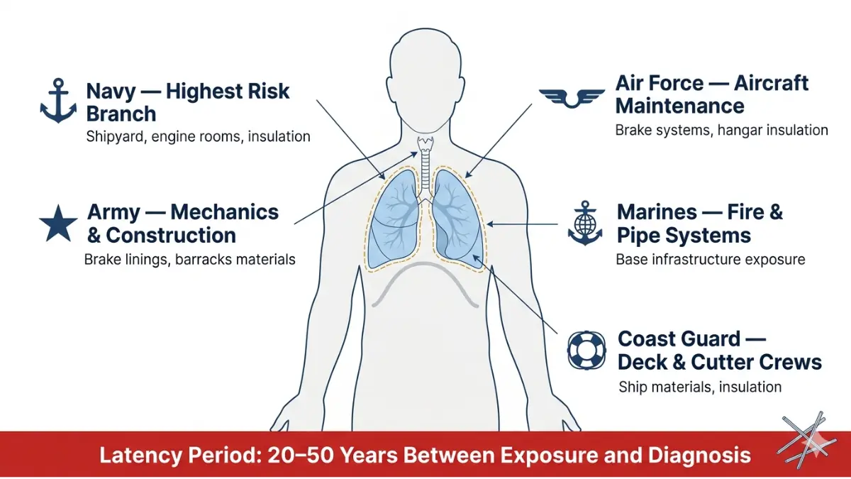 Veterans mesothelioma risk by military branch showing asbestos exposure zones in Navy Army Air Force Marines and Coast Guard
