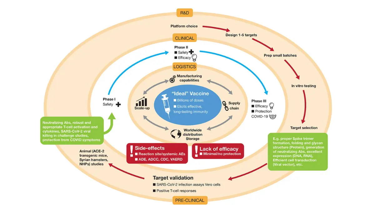 Breast cancer clinical trials illustration showing drug development and movement through clinical trial phases