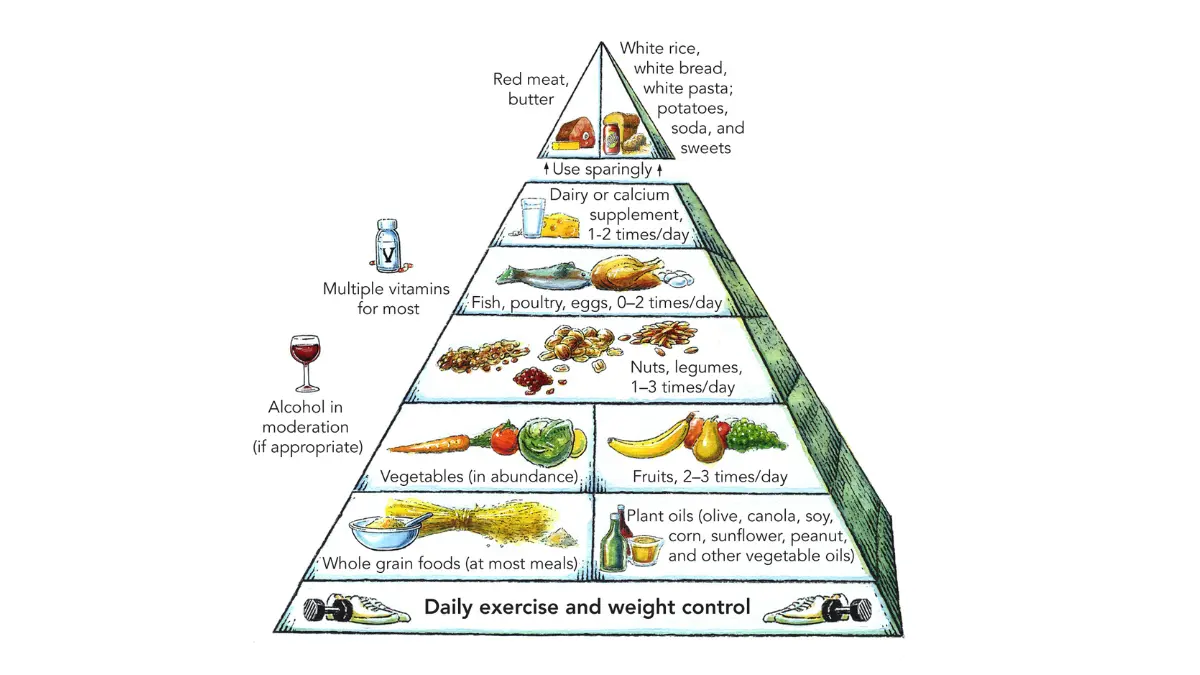 Breast cancer prevention Mediterranean diet food pyramid illustration supporting healthy eating and risk reduction strategies.