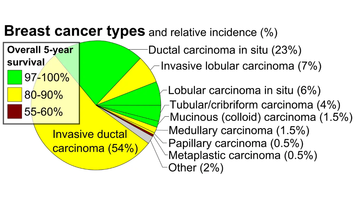 breast cancer recurrence prognosis chart showing incidence and survival patterns across breast cancer types