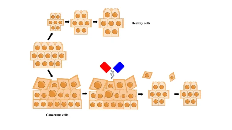 Chemo side effects illustration showing chemotherapy attacking cancer cells while sparing normal tissue over time.