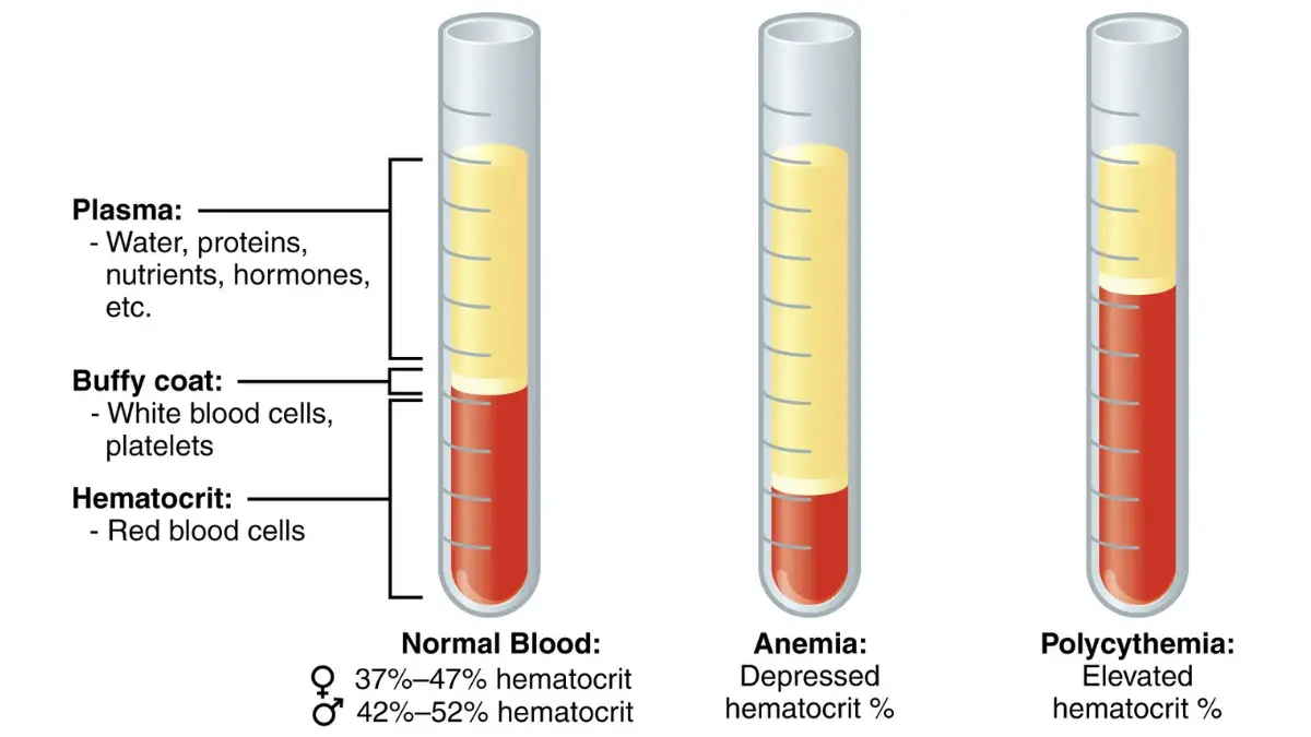 lung biopsy liquid biopsy blood plasma components circulating tumor DNA ctDNA