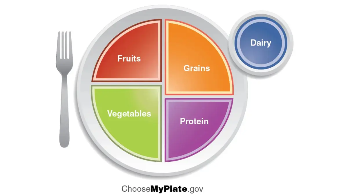 lung cancer diet USDA MyPlate nutrition guide showing daily food group proportions including half plate fruits and vegetables with protein and whole grains for treatment meal planning