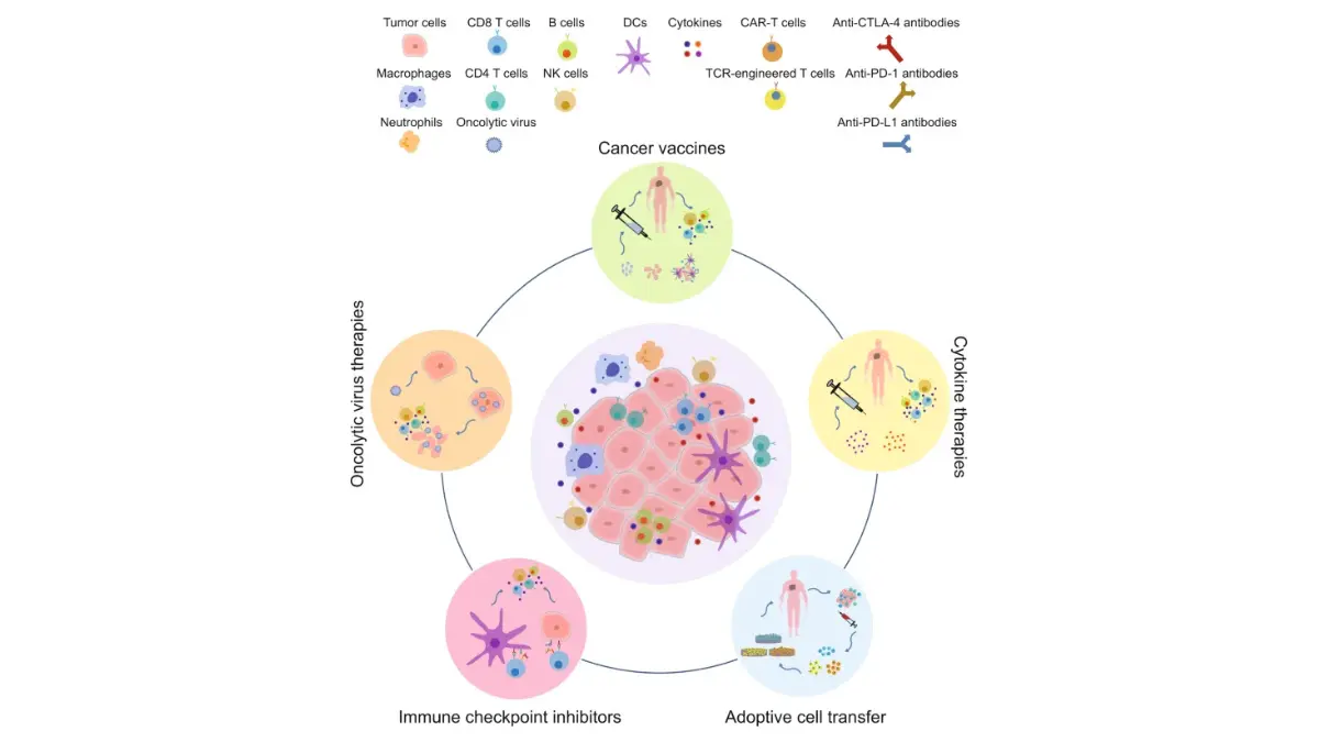 Lung cancer clinical trial immunotherapy approaches showing modern cancer immune treatment mechanisms