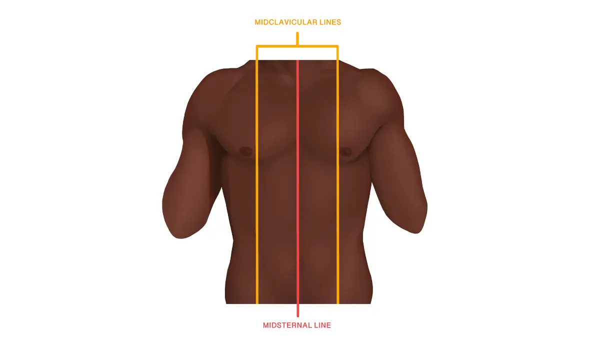 Male breast cancer chest surface anatomy illustration showing nipple area and chest landmarks for warning sign recognition.