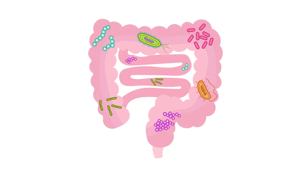 Colonoscopy Recovery — stylized icon representing gut microbiota inside the intestines