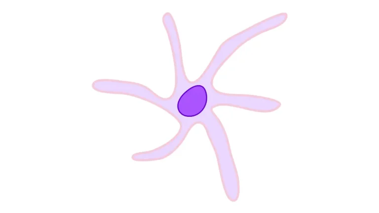 Vector illustration of a dendritic cell antigen-presenting cell used in Immunotherapy for Prostate Cancer.