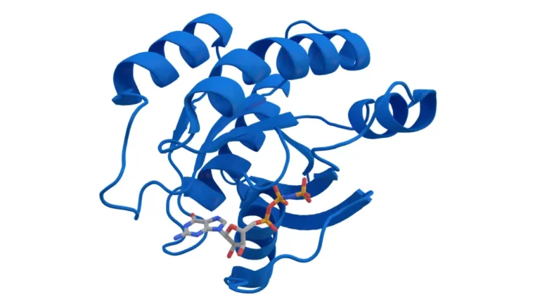 KRAS protein structure illustration showing the molecular form of KRAS used to explain why the target was considered undruggable.
