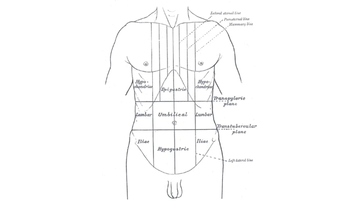 Pancreatic Cancer Pain Management — Nine abdominal regions diagram used to describe pain location and track symptoms.