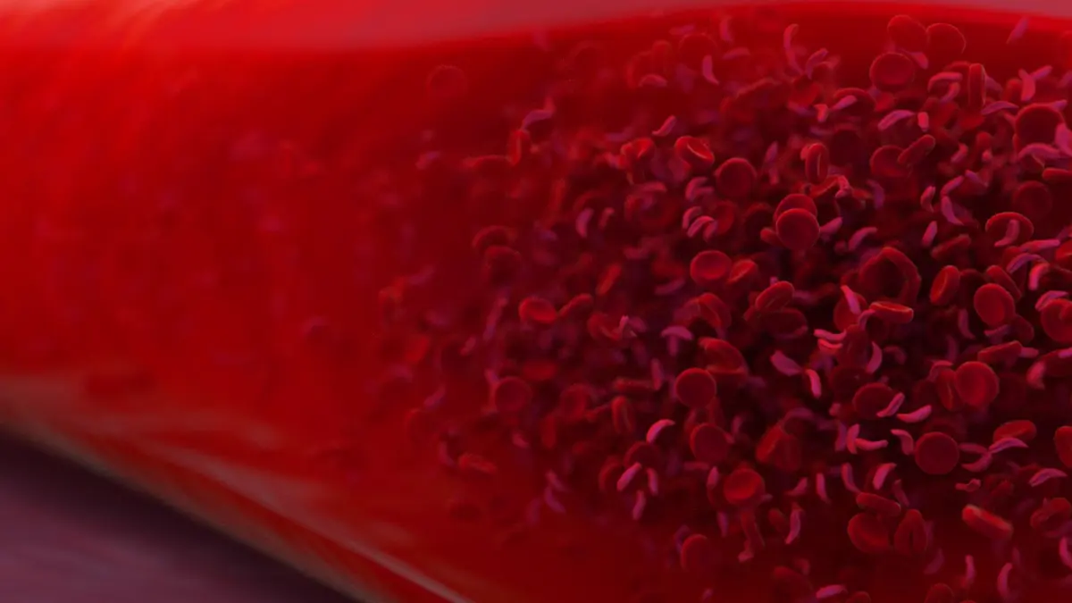 PARP Inhibitors blood-cell illustration showing anemia, a common side effect that may require monitoring during treatment.