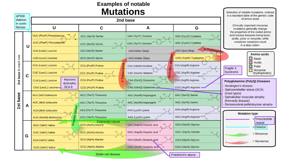 Vector diagram illustrating genetic mutations and DNA sequence changes that explain Prostate Cancer Causes at the cellular level.