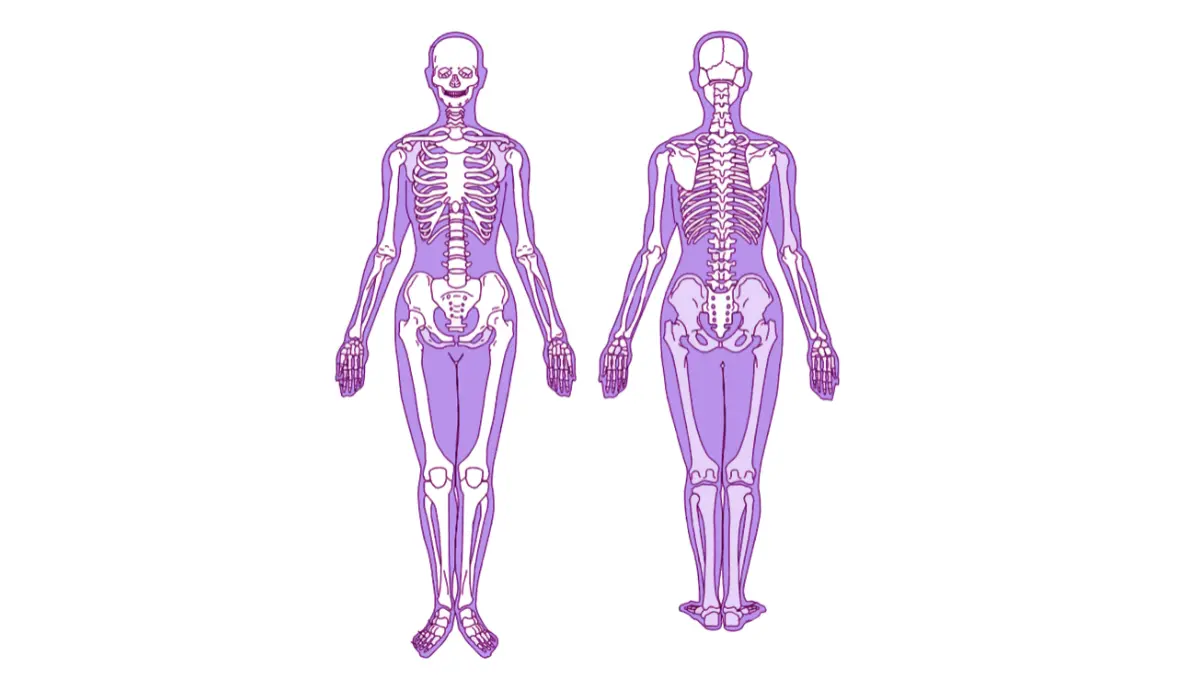 Prostate Cancer Under 50 vector illustration showing front and back views of the human skeleton to represent whole-body impact and cancer staging.