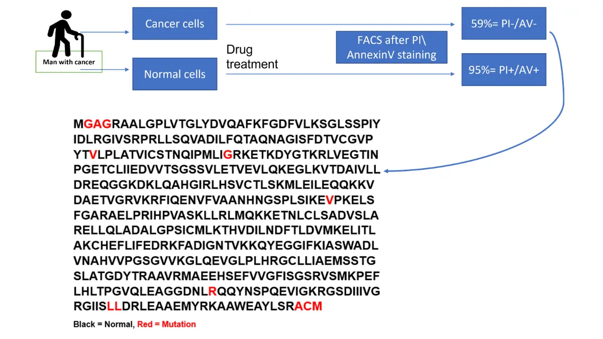 What Causes Pancreatic Cancer — Hereditary cancer risk diagram showing genetic mutation patterns and familial inheritance of cancer susceptibility.