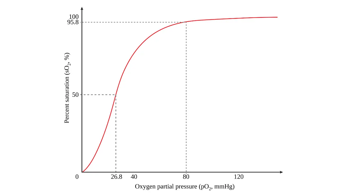 A medical vector graph tracking the oxygen dissociation curve of hemoglobin markers analyzed during an At-Home CBC Test.