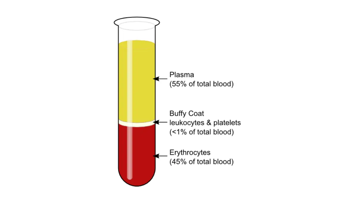 Vector diagram showing blood centrifugation to separate plasma for establishing a CMP Normal Range.