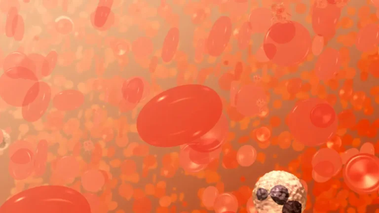 Vector medical illustration of red and white blood cells used to determine if a CBC covered by insurance is medically necessary.