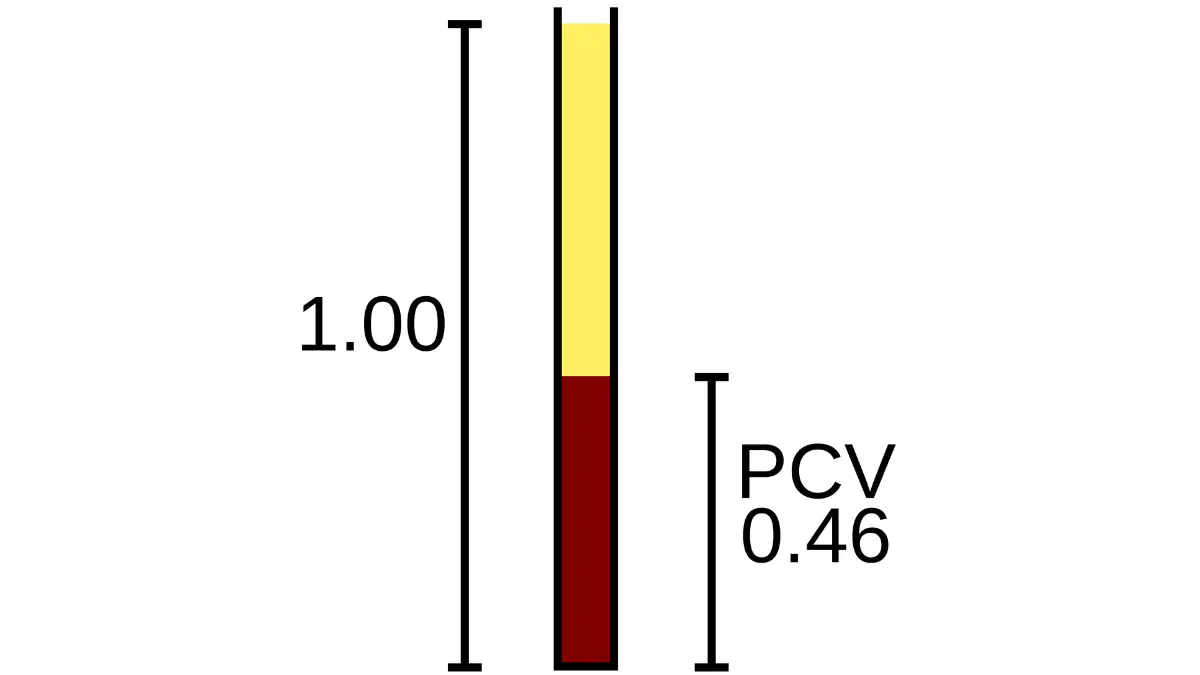 Centrifuged blood sample separating plasma and cells to explain ratios on a CBC Normal Range Chart.