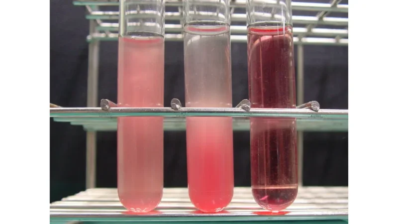 Three laboratory tubes showing different stages of broken red cells causing hemolysis, which can skew a patient's CBC result.