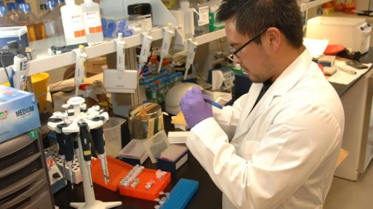 A clinical specialist running a blood sample evaluation at a professional laboratory bench to verify an anomalous CBC result.