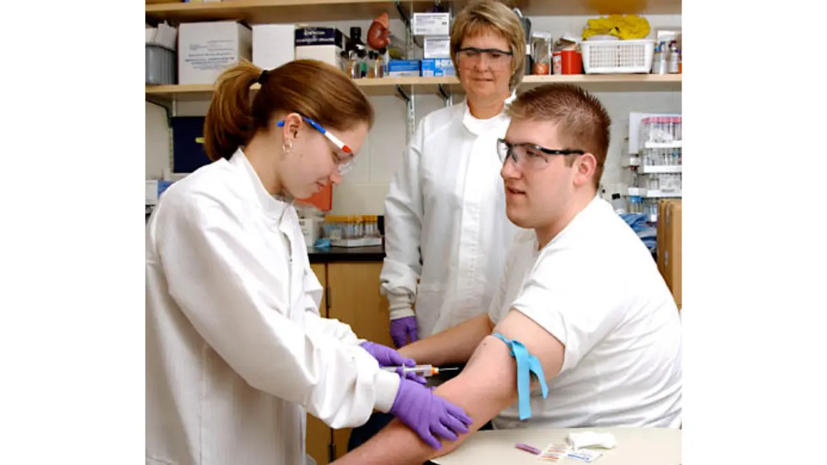 A healthcare practitioner setting up a multi-tube blood collection draw on a patient to separate panels that require fasting from standard cell counts.