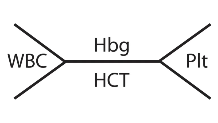 Structural breakdown of blood components measured during a routine clinical evaluation, detailing metrics that affect the overall CBC Test Cost.