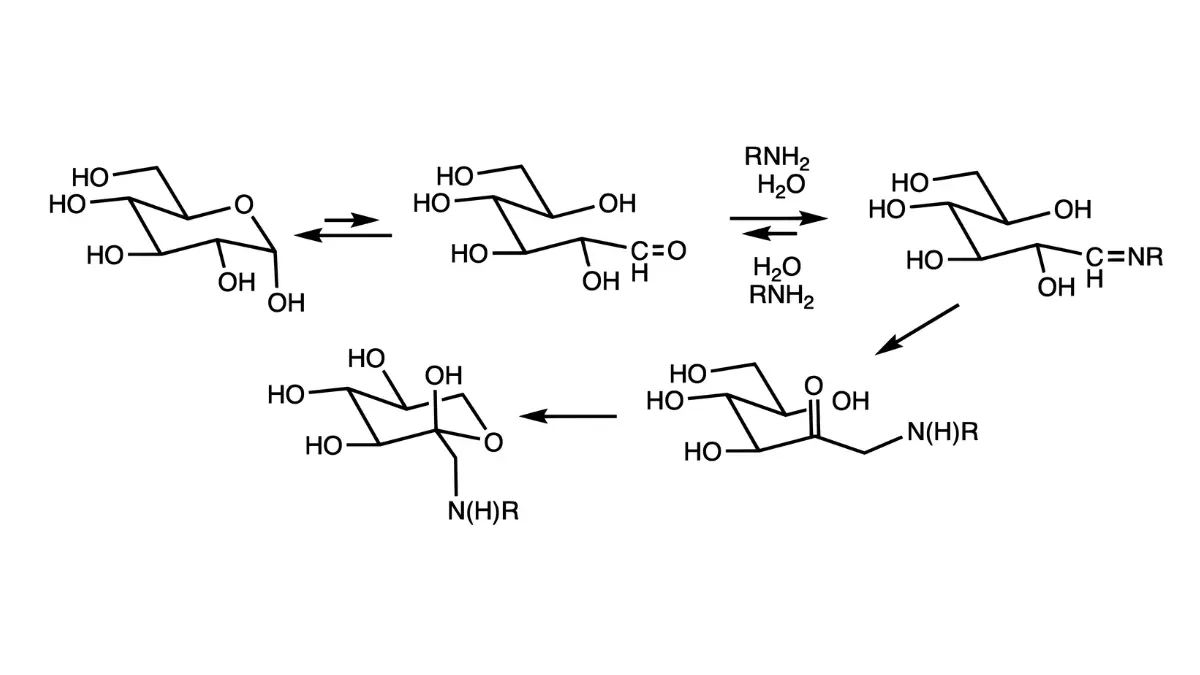 Chemical structure diagram tracking the glycation pathway via Amadori rearrangement to demonstrate how a CMP detect diabetes parameters compared to A1c averages.
