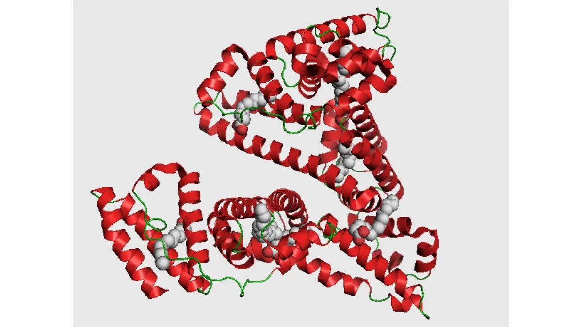 Three-dimensional molecular structural layout of Human Serum Albumin acting as a binding transport carrier for metabolites alongside blood Total Protein.
