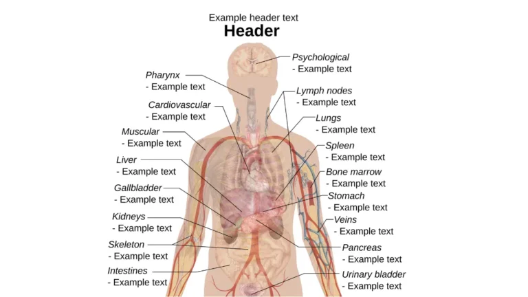A comprehensive clinical diagram mapping internal organ anatomy to explain why a normal CBC cannot rule out solid tumors.