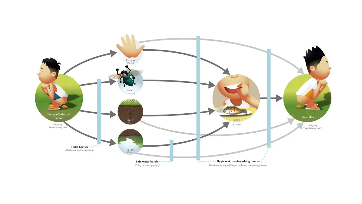 An epidemiological F-diagram tracking transmission pathways of germs and where hygiene creates barriers for patients managing Low Neutrophils.