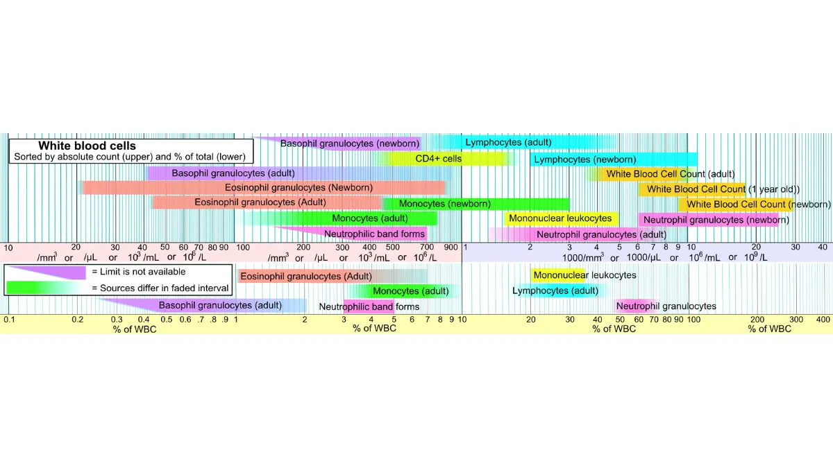 Medical scale diagram detailing reference ranges for normal, leukopenia, and a High White Blood Cell Count.